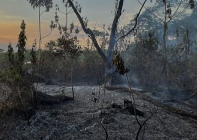 Contaminados, cemitérios da Capital estão proibidos de fazer enterros desde  2021 - Capital do Pantanal