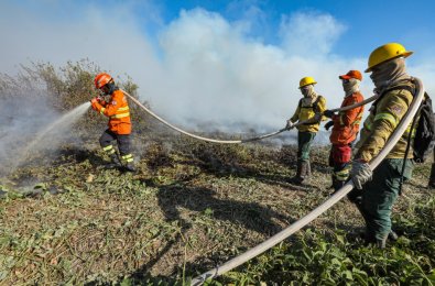 incendio-florestal