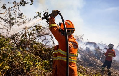 incendio-florestal