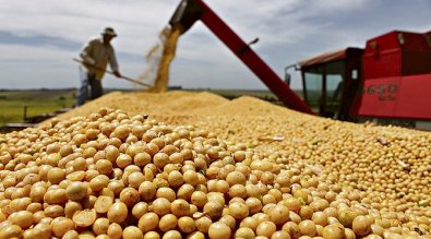 GrÃ£os-Foto-AgÃªncia-Brasil.jpg