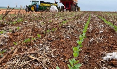 agropecuaria-plantacao-soja