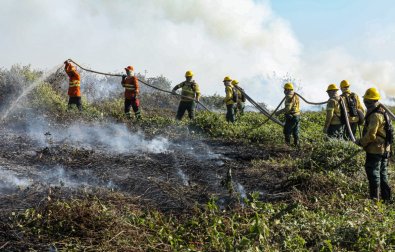 incendio-florestal