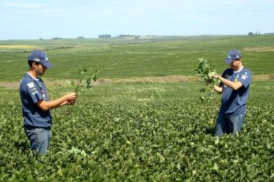 agrogalaxy-agricultura.jpg